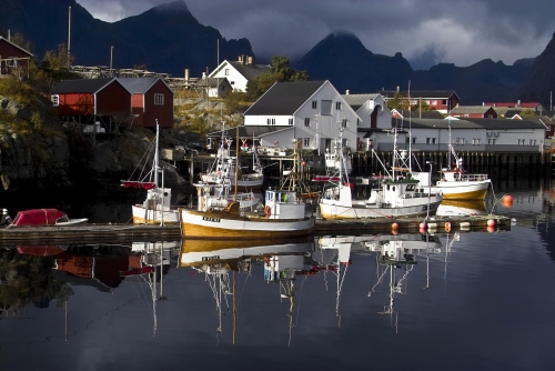 Foto Lofoten: viaggio tra le meraviglie del nord norvegese